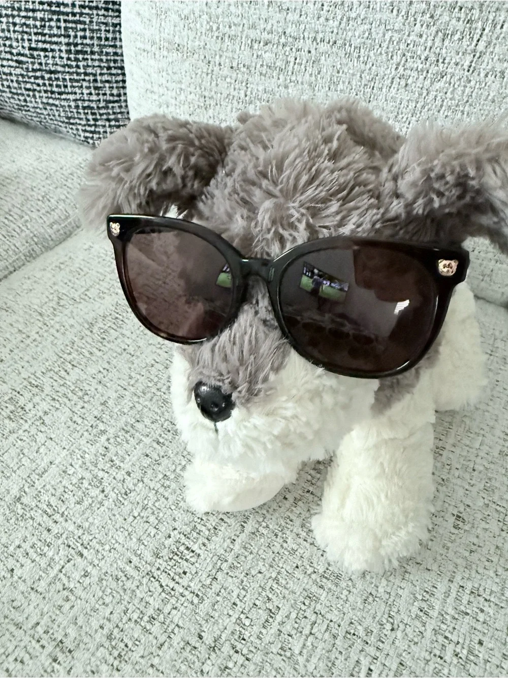Moschino Black Sunglasses with Gold Bear and Logo
